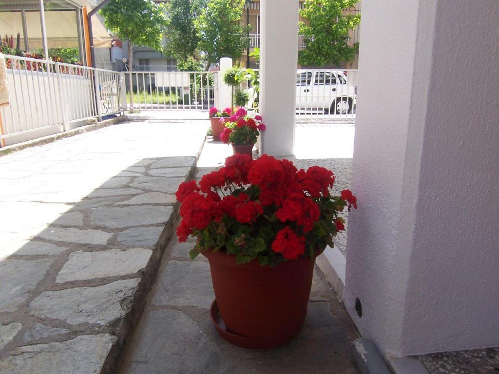 Dimitra'S Apartments Олімпіакі-Акті Екстер'єр фото